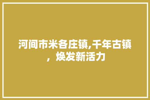 河间市米各庄镇,千年古镇，焕发新活力 河间市米各庄镇,千年古镇，焕发新活力 百度SEO