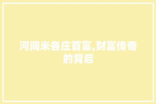 河间米各庄首富,财富传奇的背后 河间米各庄首富,财富传奇的背后 必应SEO