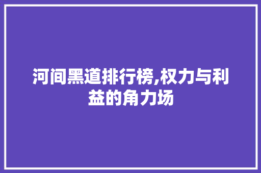 河间黑道排行榜,权力与利益的角力场