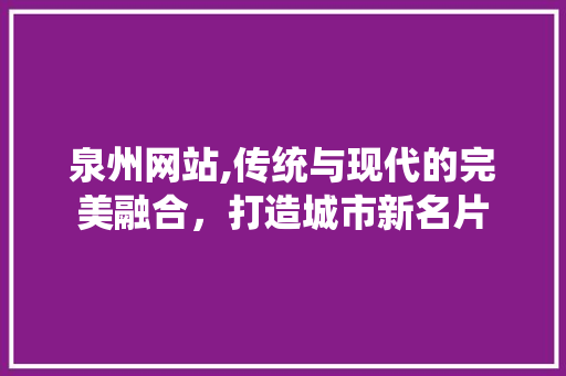 泉州网站,传统与现代的完美融合，打造城市新名片