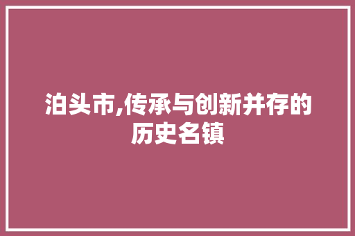 泊头市,传承与创新并存的历史名镇 泊头市,传承与创新并存的历史名镇 网站建设公司