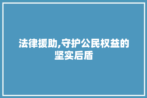 法律援助,守护公民权益的坚实后盾