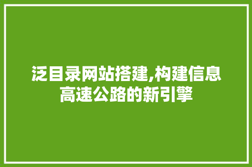 泛目录网站搭建,构建信息高速公路的新引擎