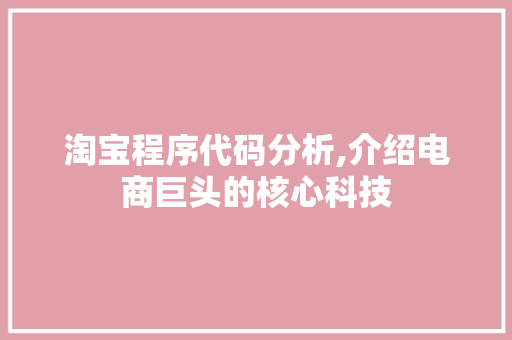 淘宝程序代码分析,介绍电商巨头的核心科技