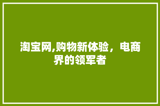 淘宝网,购物新体验，电商界的领军者