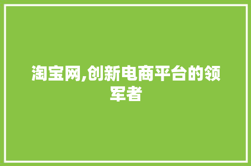 淘宝网,创新电商平台的领军者