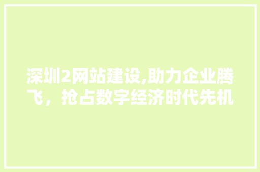 深圳2网站建设,助力企业腾飞，抢占数字经济时代先机