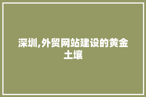 深圳,外贸网站建设的黄金土壤