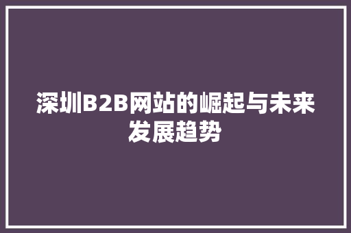 深圳B2B网站的崛起与未来发展趋势