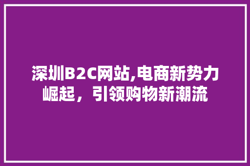 深圳B2C网站,电商新势力崛起，引领购物新潮流