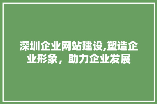 深圳企业网站建设,塑造企业形象，助力企业发展