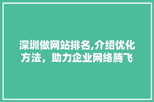 深圳做网站排名,介绍优化方法，助力企业网络腾飞