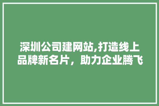 深圳公司建网站,打造线上品牌新名片，助力企业腾飞