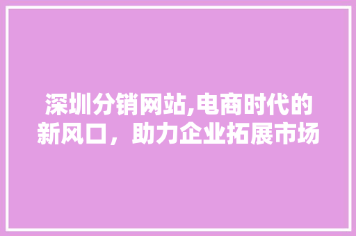 深圳分销网站,电商时代的新风口，助力企业拓展市场新蓝海