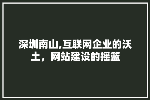 深圳南山,互联网企业的沃土，网站建设的摇篮