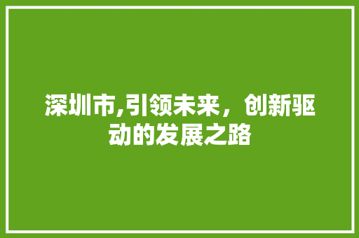 深圳市,引领未来，创新驱动的发展之路