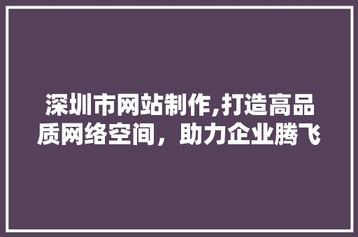 深圳市网站制作,打造高品质网络空间，助力企业腾飞