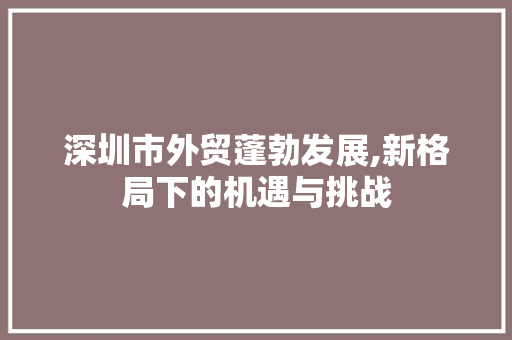 深圳市外贸蓬勃发展,新格局下的机遇与挑战