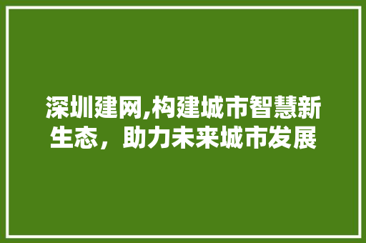 深圳建网,构建城市智慧新生态，助力未来城市发展