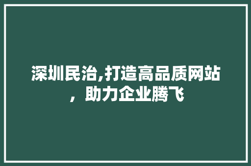 深圳民治,打造高品质网站，助力企业腾飞