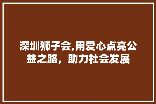 深圳狮子会,用爱心点亮公益之路，助力社会发展