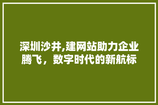 深圳沙井,建网站助力企业腾飞，数字时代的新航标