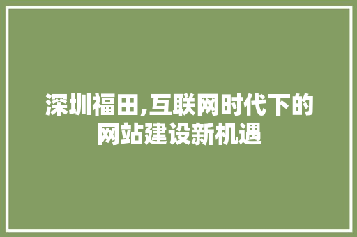 深圳福田,互联网时代下的网站建设新机遇