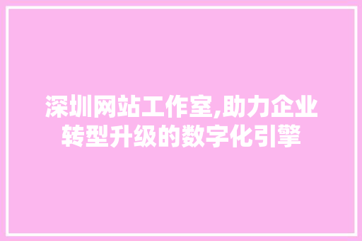 深圳网站工作室,助力企业转型升级的数字化引擎