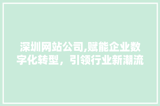 深圳网站公司,赋能企业数字化转型，引领行业新潮流