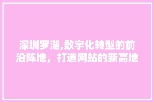 深圳罗湖,数字化转型的前沿阵地，打造网站的新高地