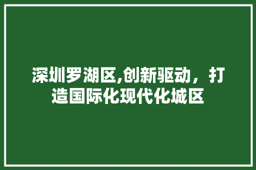 深圳罗湖区,创新驱动，打造国际化现代化城区