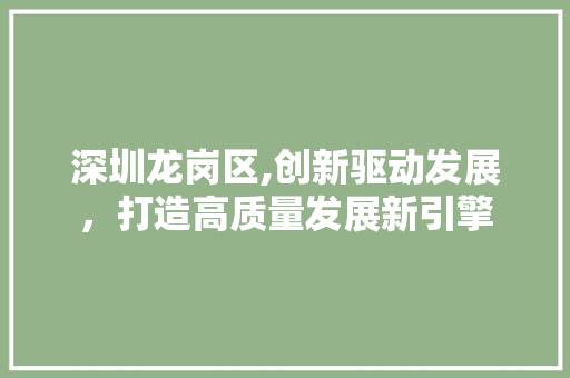 深圳龙岗区,创新驱动发展，打造高质量发展新引擎