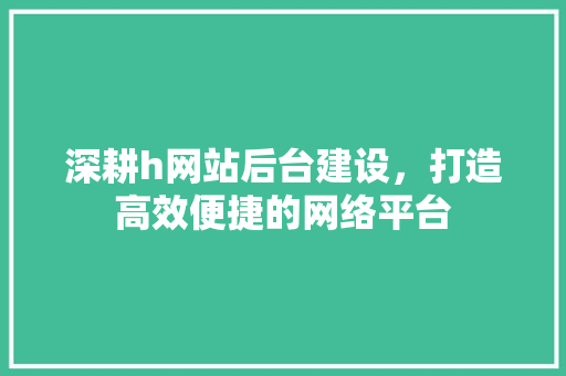 深耕h网站后台建设，打造高效便捷的网络平台