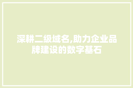 深耕二级域名,助力企业品牌建设的数字基石