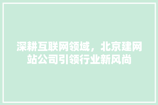 深耕互联网领域，北京建网站公司引领行业新风尚