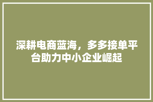 深耕电商蓝海，多多接单平台助力中小企业崛起