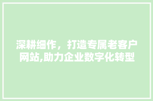 深耕细作，打造专属老客户网站,助力企业数字化转型新篇章