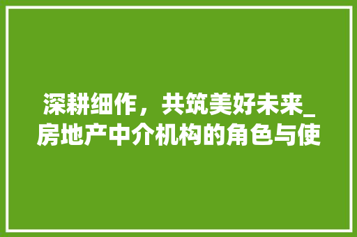 深耕细作，共筑美好未来_房地产中介机构的角色与使命