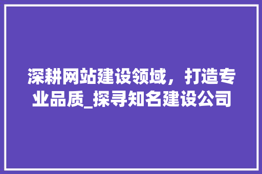 深耕网站建设领域，打造专业品质_探寻知名建设公司的卓越之路 深耕网站建设领域，打造专业品质_探寻知名建设公司的卓越之路 搜狗SEO