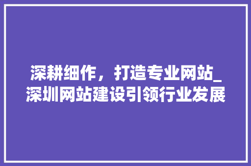 深耕细作，打造专业网站_深圳网站建设引领行业发展