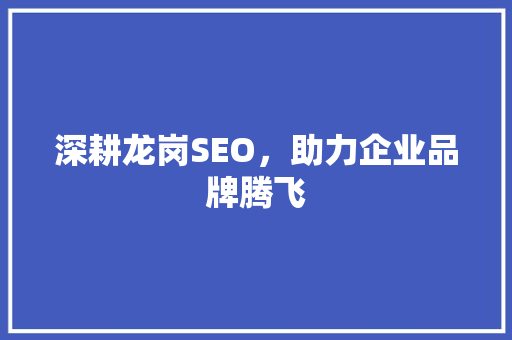 深耕龙岗SEO，助力企业品牌腾飞