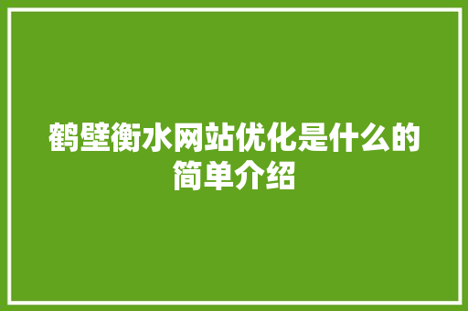 鹤壁衡水网站优化是什么的简单介绍 鹤壁衡水网站优化是什么的简单介绍 网站建设公司