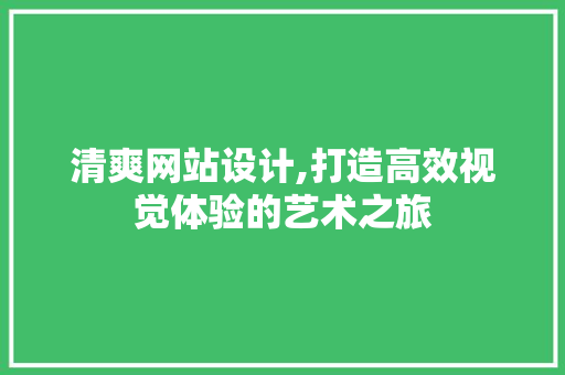 清爽网站设计,打造高效视觉体验的艺术之旅