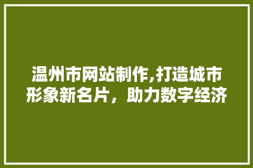 温州市网站制作,打造城市形象新名片，助力数字经济蓬勃发展