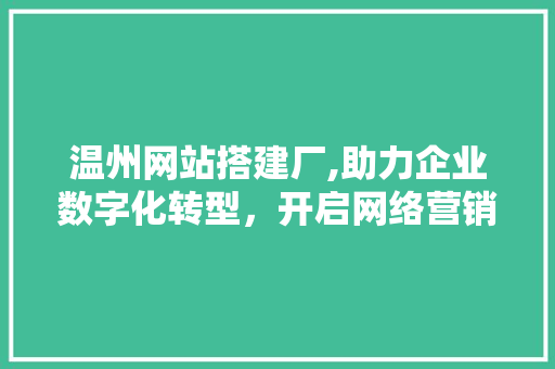 温州网站搭建厂,助力企业数字化转型，开启网络营销新篇章