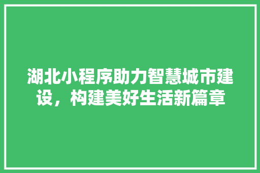 湖北小程序助力智慧城市建设，构建美好生活新篇章