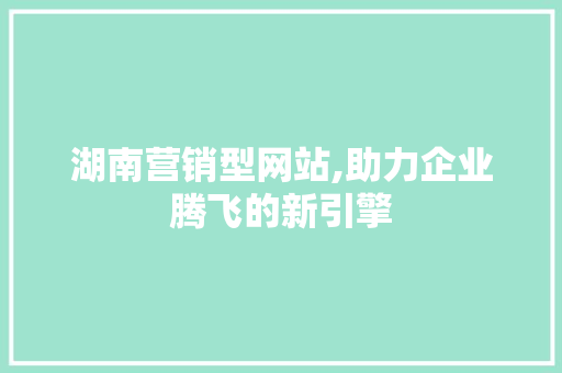 湖南营销型网站,助力企业腾飞的新引擎