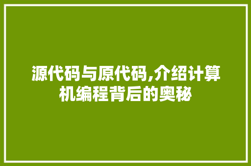 源代码与原代码,介绍计算机编程背后的奥秘