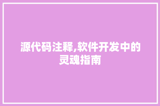 源代码注释,软件开发中的灵魂指南