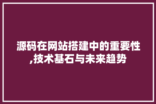 源码在网站搭建中的重要性,技术基石与未来趋势